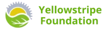 Yellowstripe Foundation